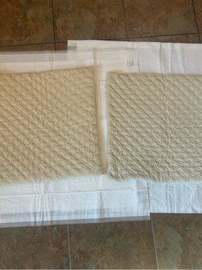Pottery Barn Quilted Pillow Shams Set of 2 Beige Cotton Romantic Neutral